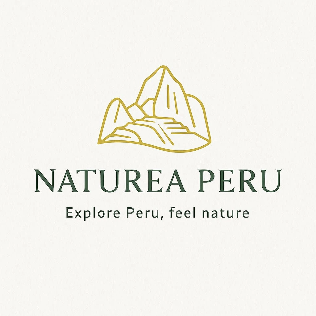 WhatsApp Image 2025-10-18 at 12.17.07 PM